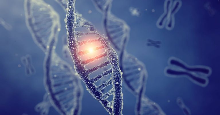 Gene therapy research offers hearing hope