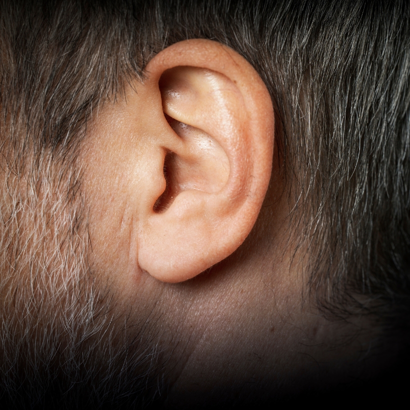 Ear of a man with dark greying hair