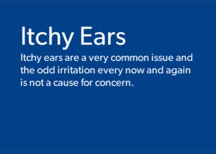 Text briefly explaining what Itchy Ears are